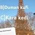 Şarkının Adı Nedir Yorumlarda Bekliyorum