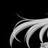Nightcore Skillet Comatose HQ