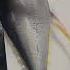 Best Tuna Fish Cutting Skills Tunafishcutting Fishcutting Videos Fishcuttingskill Xfish