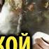 Сергей Наговицын Воровской закон Лесоповал AI Cover