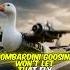 Bombardino Crocodilo Vs Bombardini Goosini