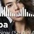 Dua Lipa Don T Start Now Studio Acapella