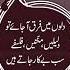 Sattar Quotes Love