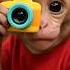 Monkey Ne Hamari Photo Khinch Li Shorts