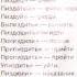 Великий русский язык