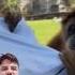 Dra Dra Moments That Broke The Internet USA Edition Shorts Ytshots Funny