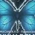 MACAN A V G Привыкаю WYLY REMIX