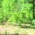 Tennessee Acreage For Sale By Owner OHTR1