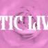 Jazmin Bean Traumatic Livelihood Official Lyric Video