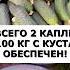 Всего 2 капли и собираю по 100 кг огурцов с куста за сезон огород сад дача урожай