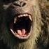 Kong Roar 1 Godzilla Vs Kong