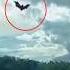 Type Of Mythical Creatures Manananggal Manananggal Viralvideo Shorts Trending Philippines