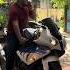 BMW S 1000RR Slbikes Bmws1000rr Highcapacity Srilanka Viral Slshorts