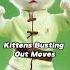 Aww The Cat S Dance Is Adorably Cute And Hits Every Beat Cat Cute Dance