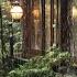 1M The Best Lullaby Sound Of Rain In A Forest