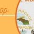 Ольга Серова Книга Тринадцать объявлений Левы Лучика читаетавтор союздетлит