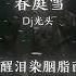 春庭雪 Dj光头 4