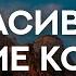 Ибрахим Ханиф аш Шишани Прекрасное чтение Корана