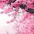 Calming Music For Nerves Healing Music For The Heart And Blood Vessels Relaxation Music For Soul