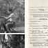 2025 Genealogy Series Researching Native American Veterans In The National Archives 1881 1966