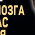 ВЫ СРАЗУ ПОЧУВСТВУЕТЕ ЭФФЕКТ Великий Врач Рахул Джандиал 3 Совета как Прокачать Мозг