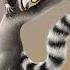 King Julien Sings Waka Waka By Shakira