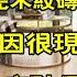 为什么有些人铺完木纹砖就后悔了 原因很现实 这4大痛点是硬伤