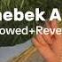 Bhebek Ana Slowed Reverb Azeem Ft Yara