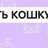 Как научить кошку команде ДАЙ ЛАПУ