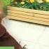 Charlie Dimmock Proves You Can Transform Your Backyard On A Budget