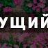 Цветущий май Вальс весенних цветов