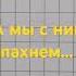 у меня секретов много а слушатель один А мы с ним пахнем кошачьей мятой и листвой