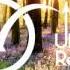 Mike Posner I Took A Pill In Ibiza Remix Ft Conor Maynard