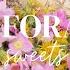Turning Weeds Into Gold Dandelion Jelly Fried Clams Wild Rose Marshmallows Off Grid Alaska