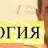 Психология развития и возрастная психология Лекция 15 Психологическая характеристика молодости