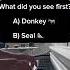 Test Your Personality Piano Illusion Personality Fyp
