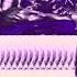 Bladee Skin Tizdrop Chopped Screwed