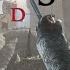 04 Assassins Creed Аль Муалим
