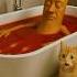 Tung Tung Tung Sahur Is Dead Cats Cutecat Funny Catlovers
