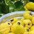 Jannati Phal Ka Jam Quince Fruit Benefits Benefits Of Safarjal Bahi Dana Village Food Secret