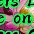 Flowers Lyrics Fame On Fire Cover