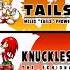 How To Get The Secret 5th Character In Sonic Advance
