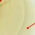 PARTS OF AN EGG Parts Of An Egg And Their Functions Science Lesson