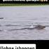 Ollohga Ishongan Qalblar Hiphop Rap Music Xorazm рекомендации рек Abdulloxdomla Hazorasp