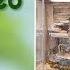 DIY Terrarium Background All Finished Background Builds