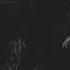 Wintercorpse Tracking Demo New Song No Vocals April 2021
