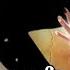 Coldplay Alizée Fed Up Life Viva La Vida Mashup