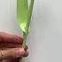 Let Make A Tulip Bouquet Fypシ Viral Aestheticedit Fairycore Fairytales