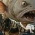 Big Fish Caught By Fisher Waves Ocean