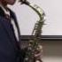 Quinn Saxophone Contest